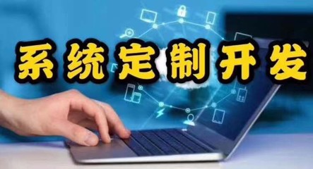 软件开发 产品更新技术维护